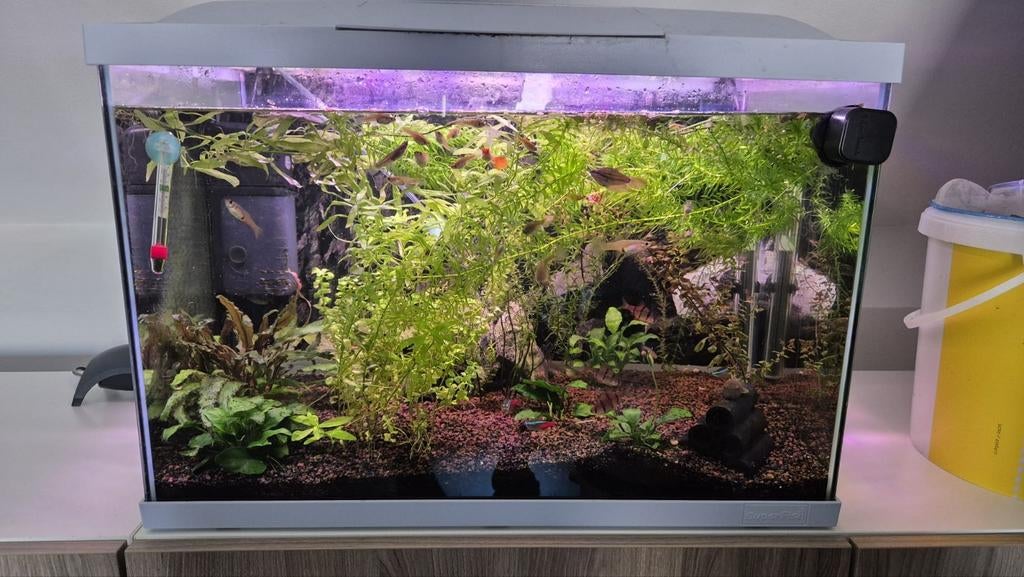 Gevulde aquarium 60 ltr, Ophalen