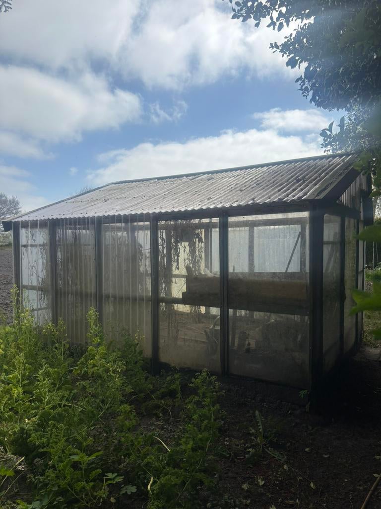 Kweekkas, Ophalen, Glas, Zo goed als nieuw, Aluminium