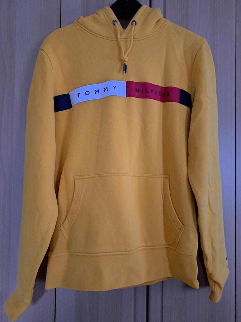 Hoodie Tommy Hilfiger, Kleding | Heren, Truien en Vesten, Ophalen of Verzenden, Maat 46 (S) of kleiner, Tommy Hilfiger