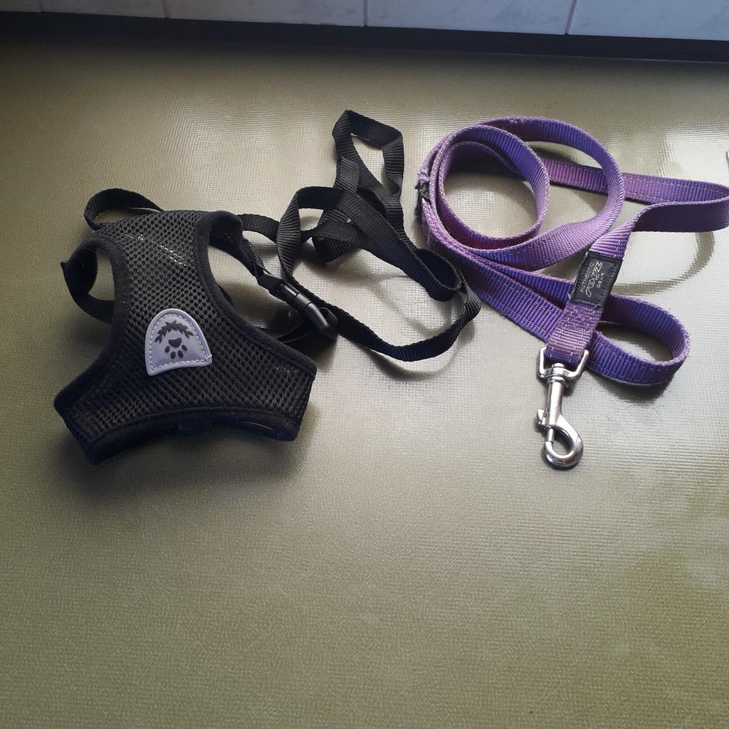 Kat en hond vestje verstelbare, Dieren en Toebehoren, Ophalen
