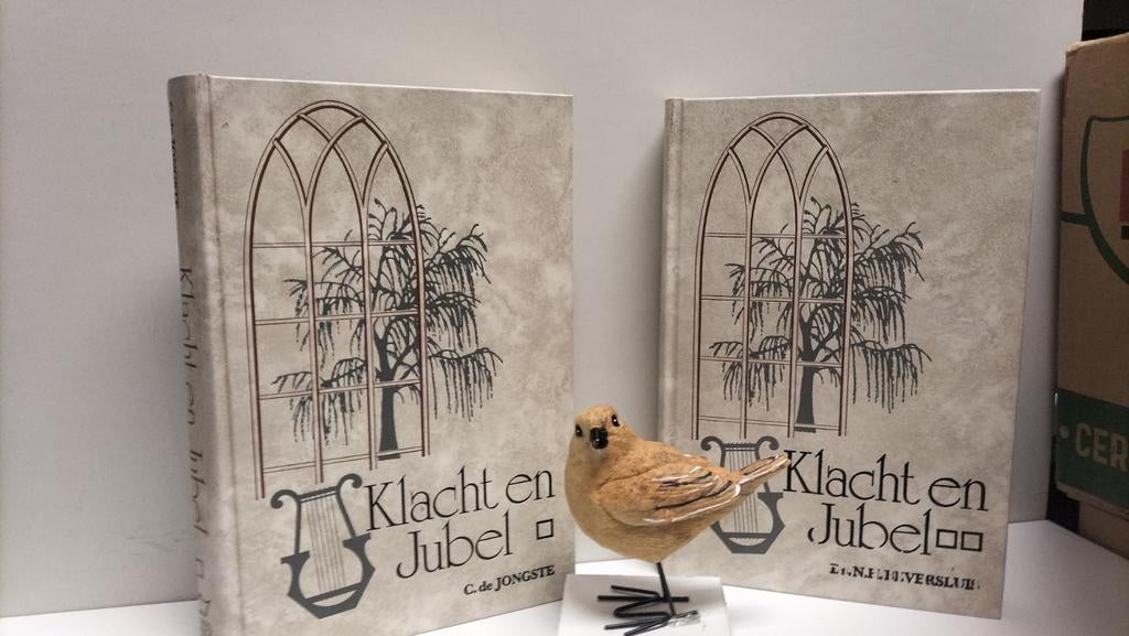 Jongste, C. de/ Ds. Beversluis; Klacht en jubel (2 delen), Boeken, Ophalen of Verzenden, Gelezen, Christendom | Protestants