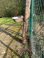 Drinkbak vee €10,00 per stuk