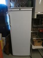 diepvrieskast, Gebruikt, Energieklasse A of zuiniger, 140 tot 160 cm, Ophalen