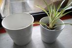 Ikea bloempotten Muskot 2lJ stuks opeenvolgende grote., Ophalen, Rond, Binnen, Zo goed als nieuw