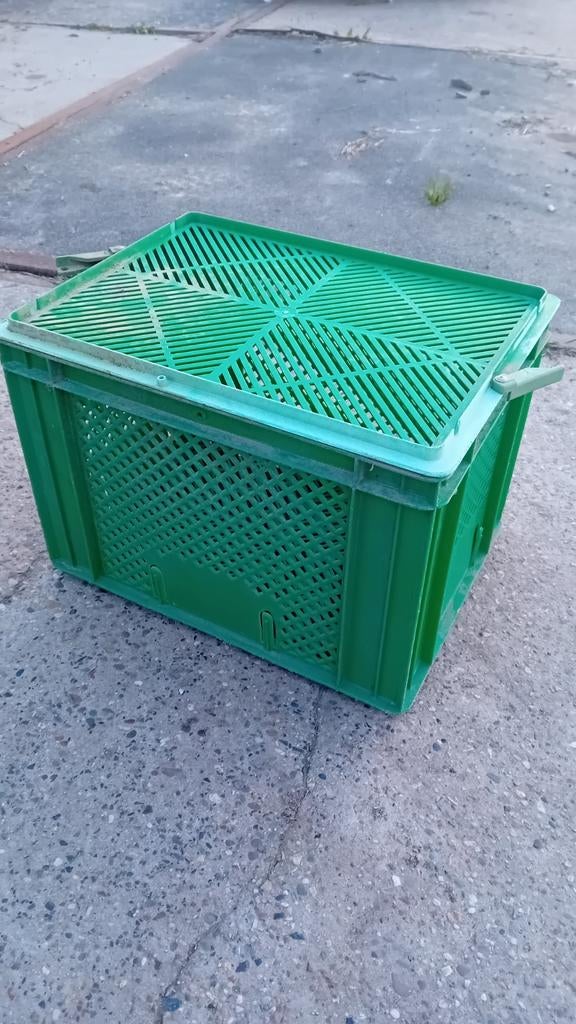 Europlast Groente krat (165x), Gebruikt, 40 tot 60 cm, 50 tot 75 cm, Minder dan 35 cm