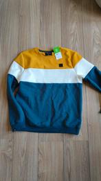 Nieuwe Trui maat L, Ophalen of Verzenden, Nieuw