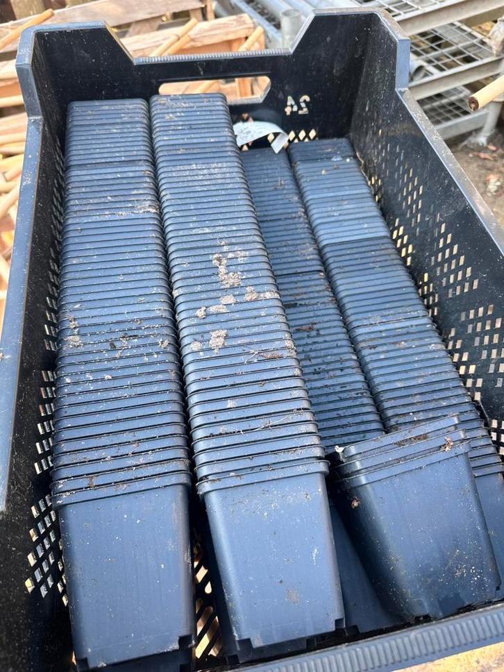 P9 potjes. 1000 voor €35, Tuin en Terras, Kweekspullen, Zo goed als nieuw, Kweekbak, Ophalen of Verzenden
