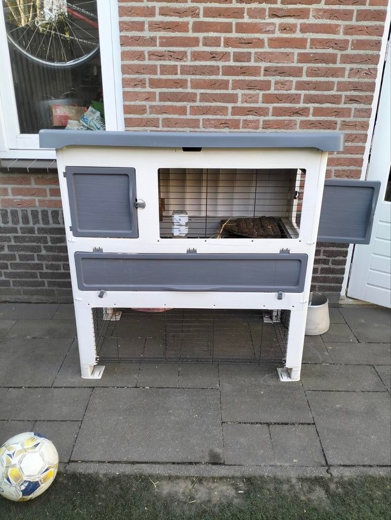 Cavia en caviahok/toebehoren, Dieren en Toebehoren, Kooi, 75 tot 110 cm, Cavia, Ophalen