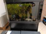 110 liter aquarium, Ophalen, Gebruikt, Leeg aquarium