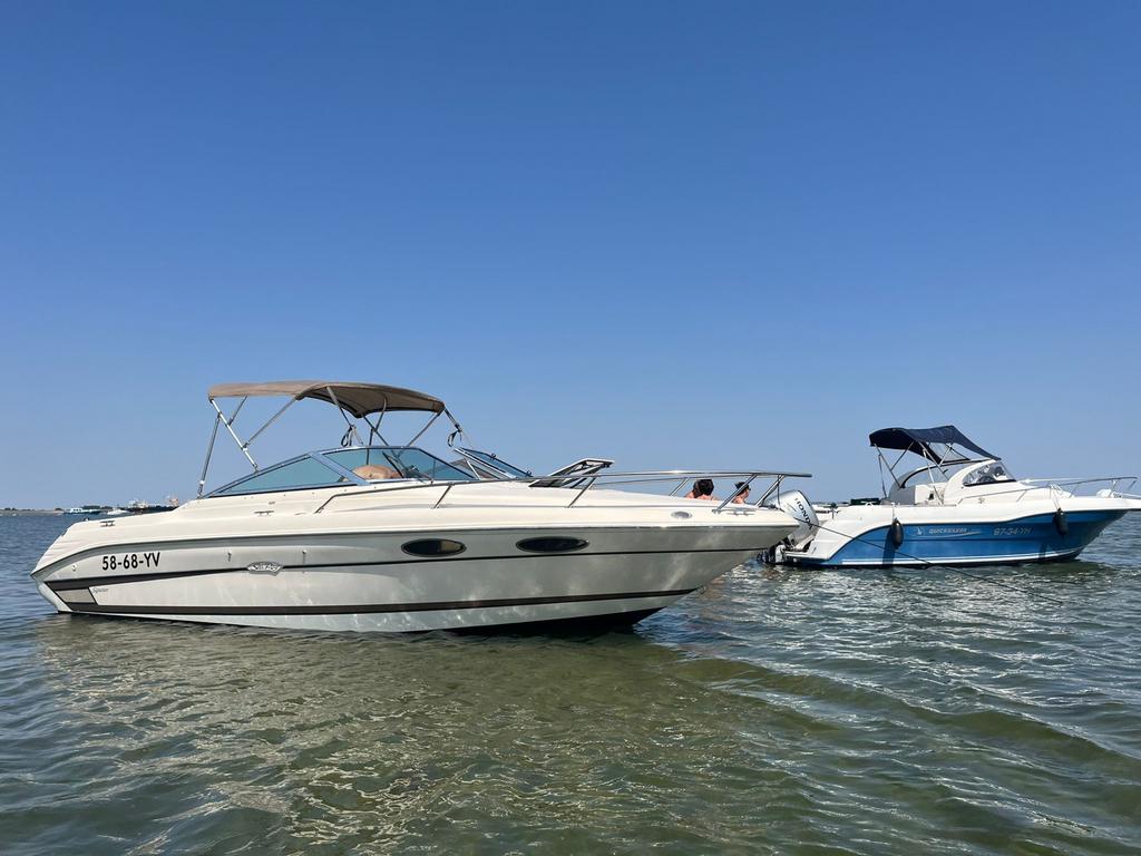 Sea Ray 220 met 5.7 Mercruiser (VAARKLAAR), Watersport en Boten, Motorboten en Motorjachten, Gebruikt, Polyester, 6 tot 9 meter