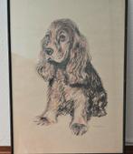 Fraaie tekening Cocker Spaniel van Toon van Driel, Ophalen of Verzenden