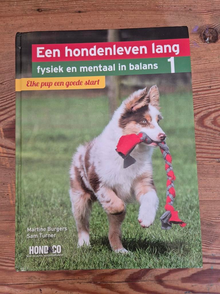 Martine Burgers - Elke pup een goede start, Boeken, Dieren en Huisdieren, Honden, Ophalen of Verzenden, Zo goed als nieuw, Martine Burgers; Sam Turner