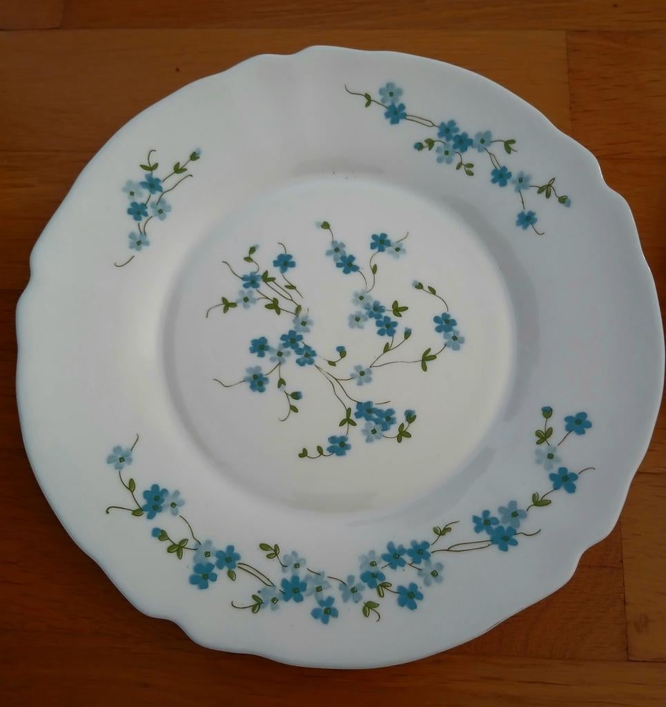 Arcopal France Vergeet Mij Nietjes Servies Borden 2 Stuks, Ophalen of Verzenden