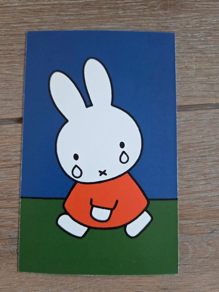 NIJNTJE VERDRIET, Ophalen