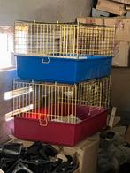Kooien 2 stuks samen ophalen in Bakel, Dieren en Toebehoren, Ophalen, Gebruikt