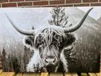 Canvas schotse hooglander xxl €25,- afhaal, Ophalen, 125 cm of meer, Zo goed als nieuw, Schilderij