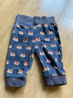 broekje grijs vosjes maat 62 handmade, Kinderen en Baby's, Babykleding | Maat 62, Ophalen of Verzenden, Zo goed als nieuw, Jongetje of Meisje