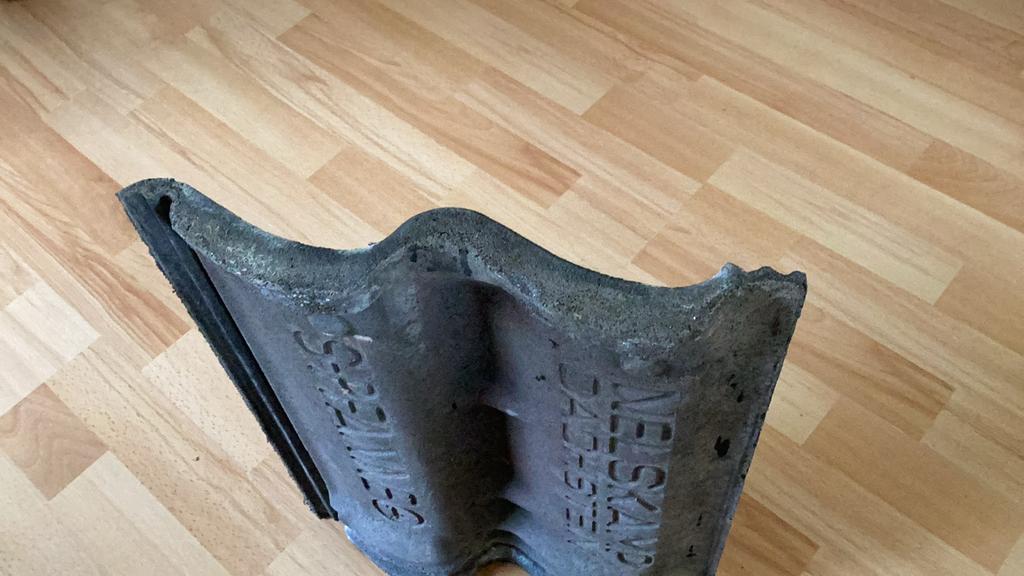 Dakpannen sneldekkers - Nelskamp Dachstein, Ophalen, Gebruikt, Steen of Klei, Dakpannen