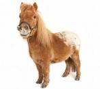 Verzorger/verzorgster gezocht, Ophalen, Gebruikt