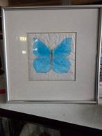Ingelijste vlinder schildering - Blauwe vlinder, Ophalen of Verzenden