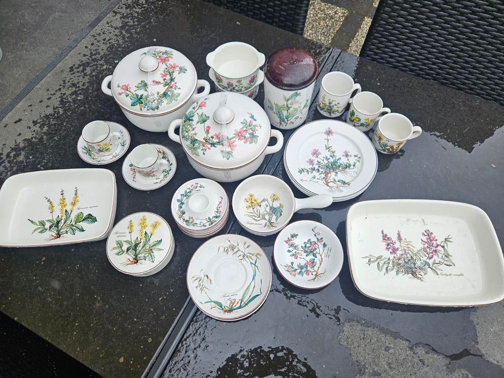 Villeroy & Boch Botanica servies - diverse onderdelen, Ophalen