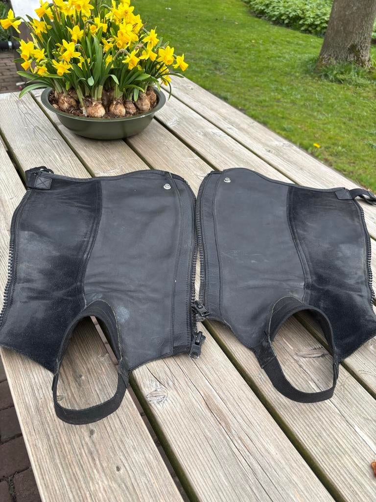 Ariat Concord chaps maat XST, Ophalen of Verzenden, Overige soorten, Schoeisel