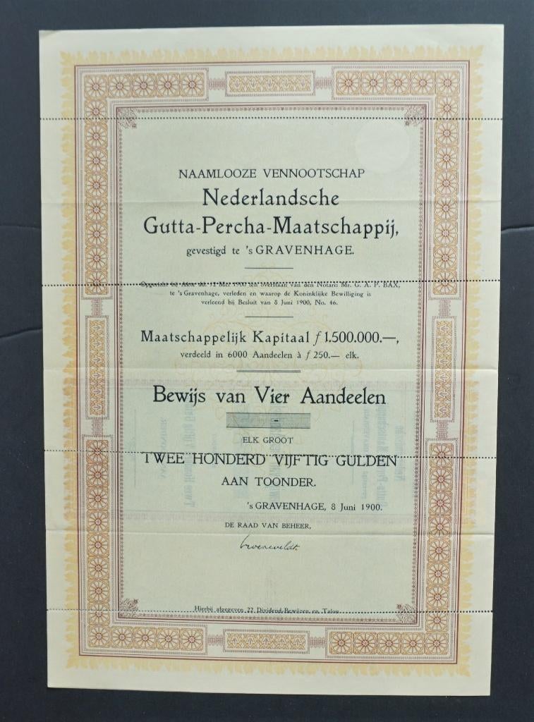 Nederlandsche Gutta-Percha Maatschappij (Rubber/Ned.Indie), Verzenden, Voor 1920, Aandeel