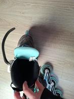 Nieuwe dames skeelers maat 38, Ophalen of Verzenden, Nieuw