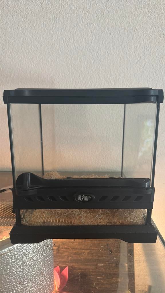Terrarium, Dieren en Toebehoren, Ophalen, Zo goed als nieuw