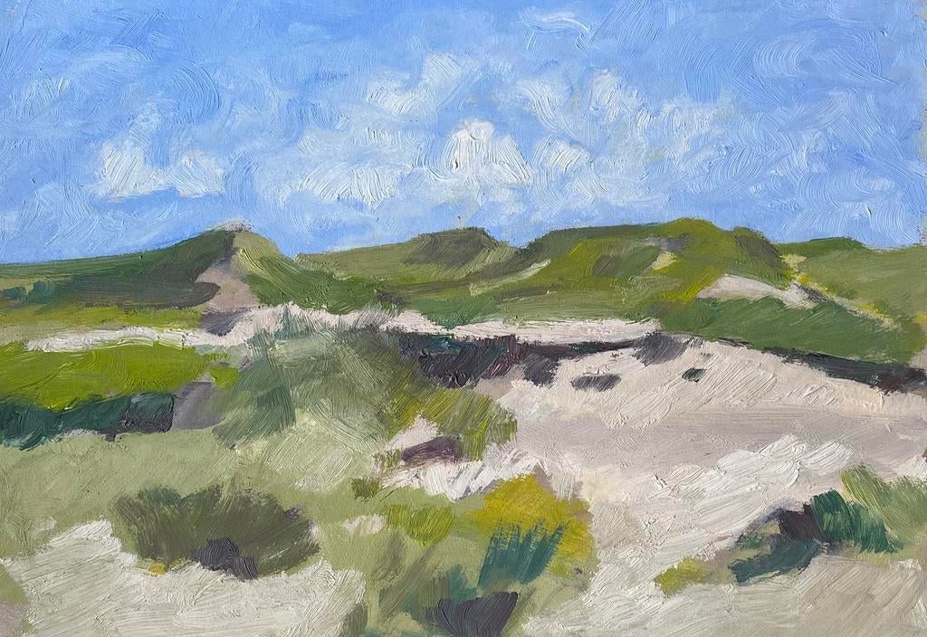 Duinlandschap olieverf: board, Antiek en Kunst, Kunst | Schilderijen | Klassiek, Ophalen of Verzenden