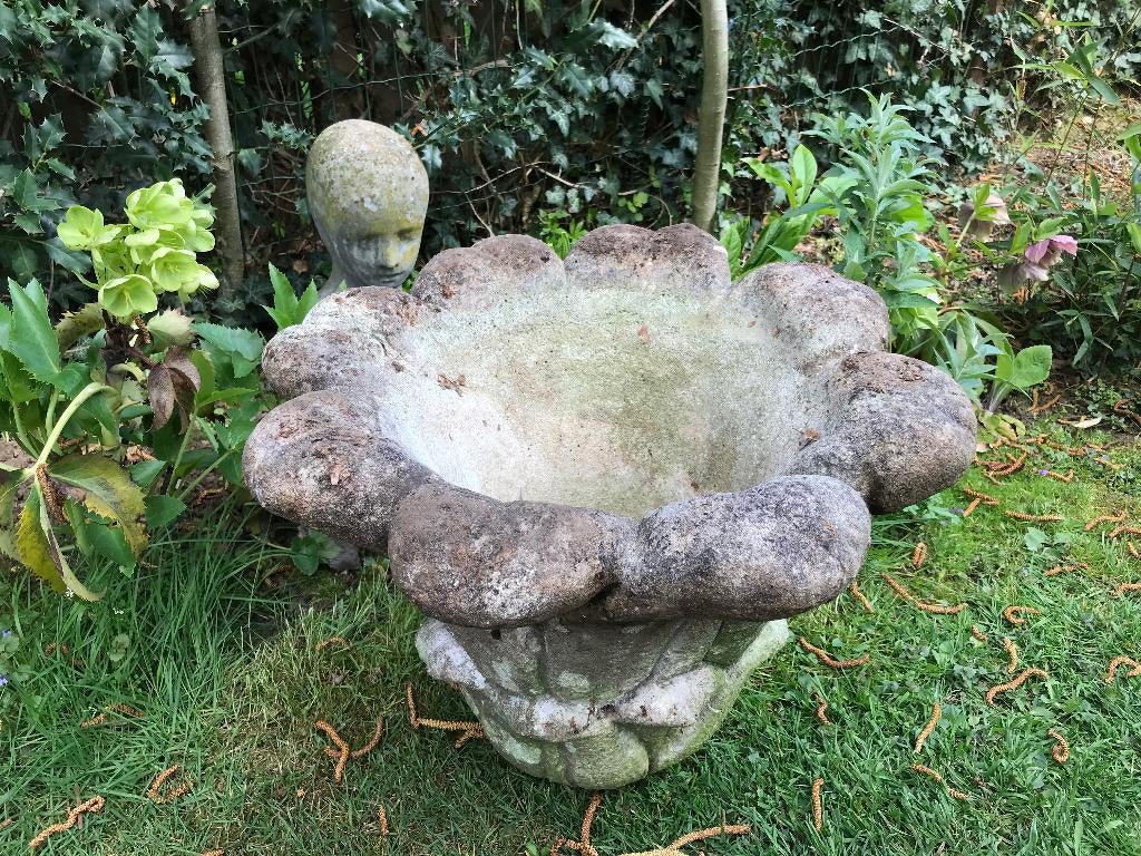 Oude betonnen TUINVAAS brocante curiosa BIJNA GRATIS, Tuin en Terras, Ophalen, Gebruikt