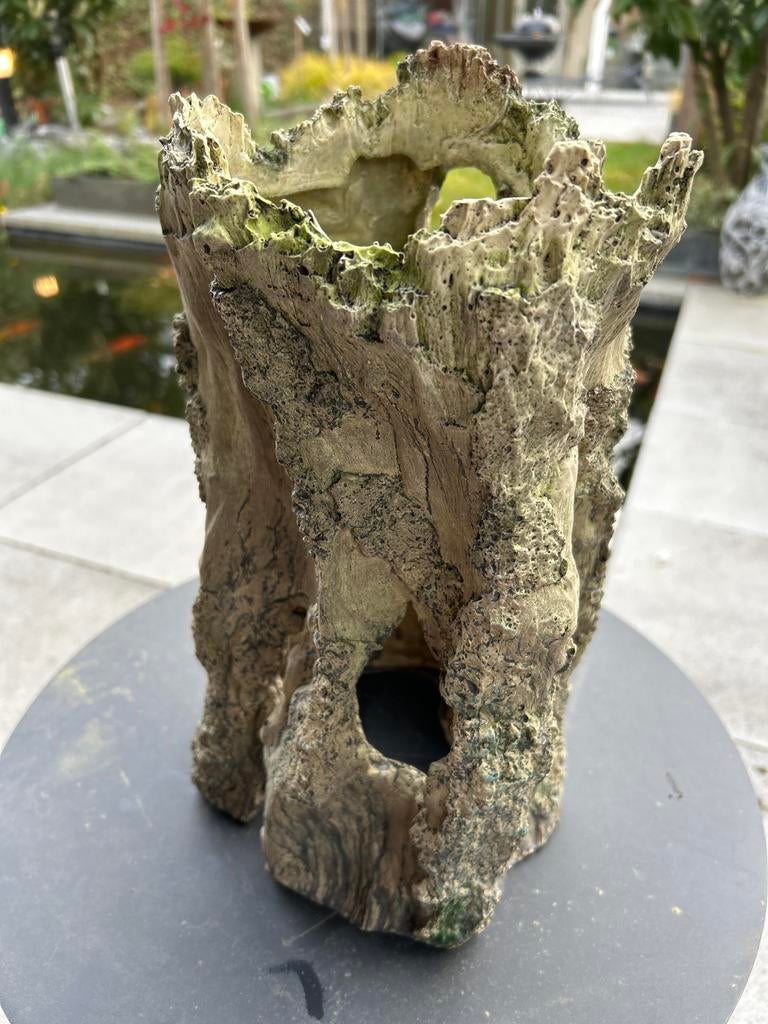 Boomstam deco voor Aqua Terra, Dieren en Toebehoren, Vissen | Aquaria en Toebehoren, Verzenden, Zo goed als nieuw, Plant(en), Steen of Hout