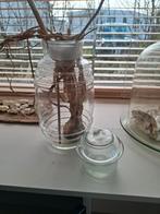 Vintage voorraad glazen pot met deksel diam.16cm hoogte 34cm, Ophalen of Verzenden