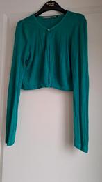 Steps Groen Dames Vestje Maat L, Maat 42/44 (L), Ophalen of Verzenden, Steps, Gedragen