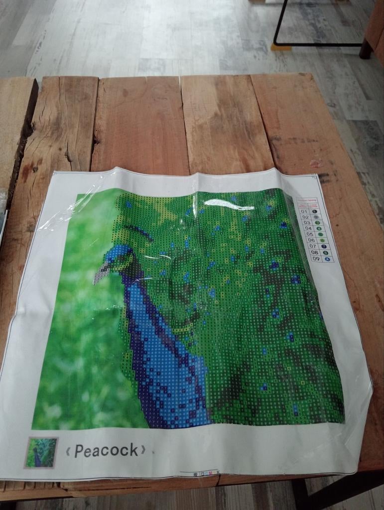 Diamond Painting pauw, Hobby en Vrije tijd, Knutselen, Ophalen of Verzenden, Nieuw, Knutselwerk