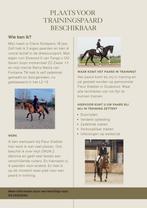 Ruiter aangeboden / stal vrij voor trainingspaard, Ophalen of Verzenden, Zo goed als nieuw