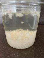 Water kefir 50 gram, Ophalen