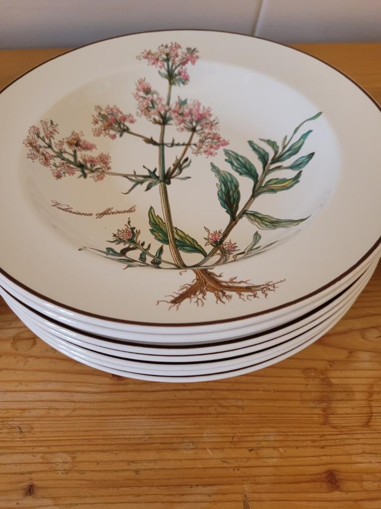 7 diepe borden Botanica Villeroy & Boch zgan nieuwstaat, Ophalen of Verzenden, Zo goed als nieuw, Bord(en), Overige stijlen