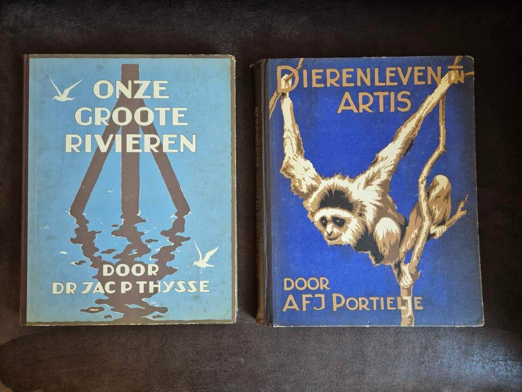 2 Verkade plakboeken, Ophalen of Verzenden, Gelezen