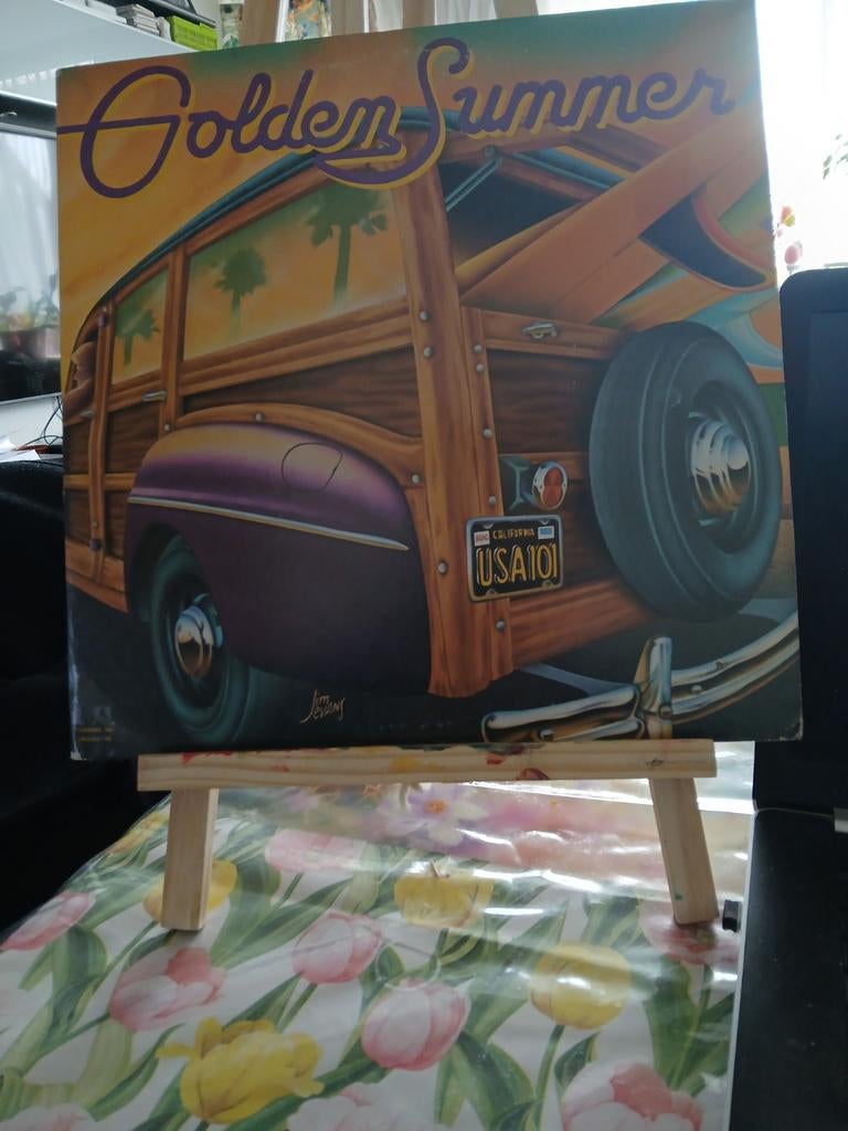 Golden Summer lp plaat vinyl, Ophalen of Verzenden, Gebruikt, 12 inch