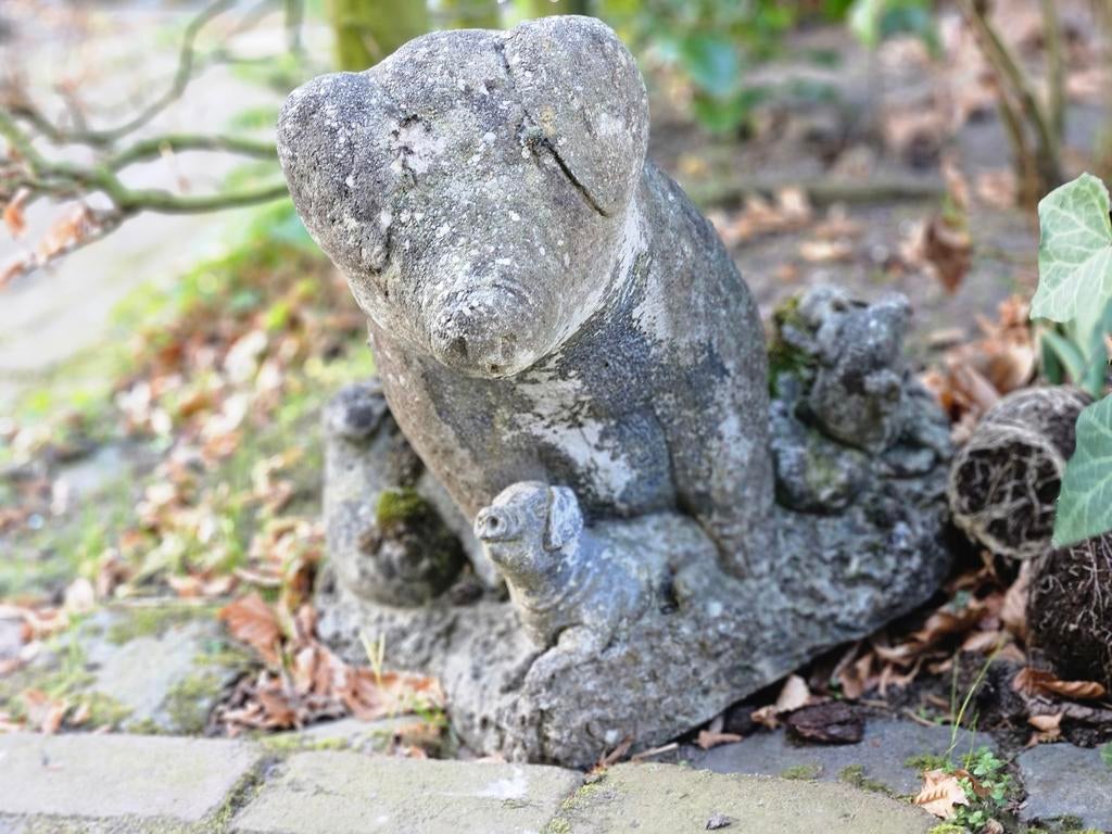 Betonnen stenen tuinbeeld gratis Varken met biggetjes, Ophalen, Gebruikt, Steen