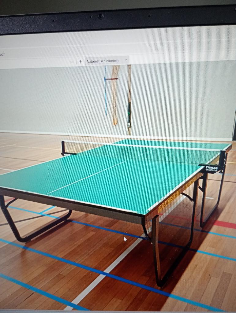 Tafeltennistafel, Sport en Fitness, Tafeltennis, Ophalen, Gebruikt, Tafel Indoor, Verrijdbaar