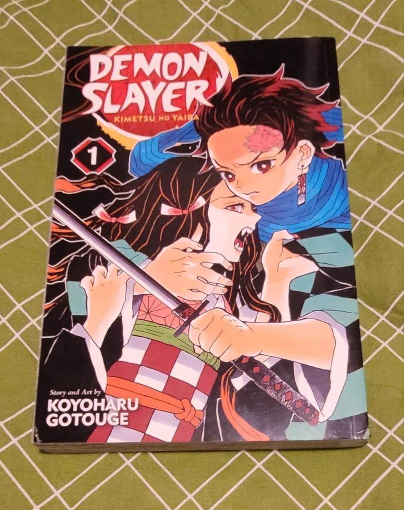 Mamga Demon Slayer: Kimetsu no Yaiba vol. 1, Boeken, Koyoharu Gotouge, Europa, Ophalen of Verzenden, Zo goed als nieuw