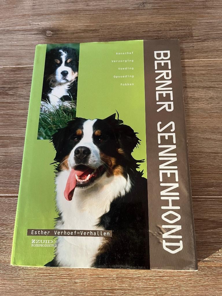 Berner Sennenhond, Ophalen of Verzenden, Zo goed als nieuw, Honden