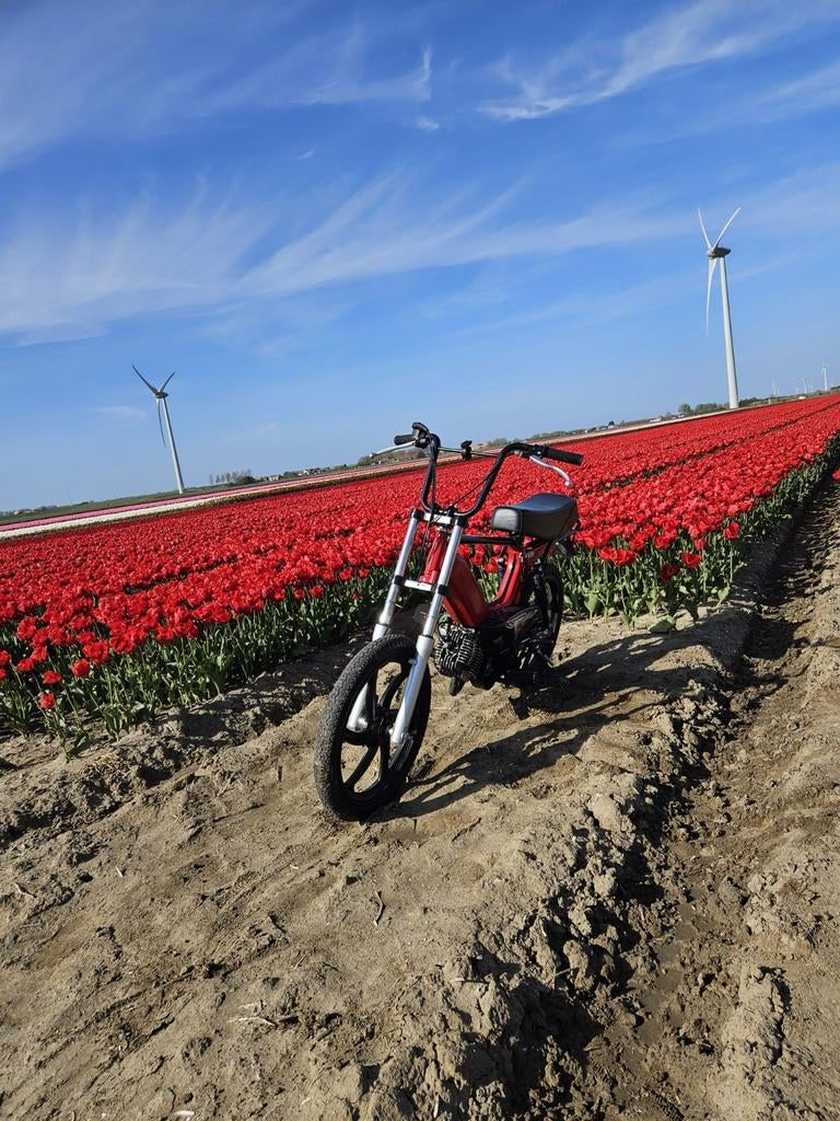 Tomos 70cc, Ophalen of Verzenden, Zo goed als nieuw, 2 versnellingen, Overige modellen