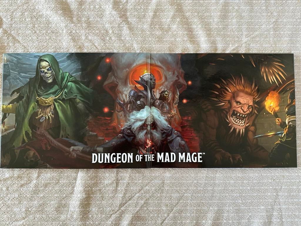 DM Scherm D&D Dungeon of the Mad Mage - Zo goed als nieuw!, Ophalen of Verzenden, Zo goed als nieuw