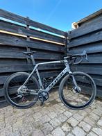 Sensa Giulia Evo Disc Stone Titan 61 / XL, Fietsen en Brommers, 28 inch, Gebruikt, Carbon, 57 tot 61 cm
