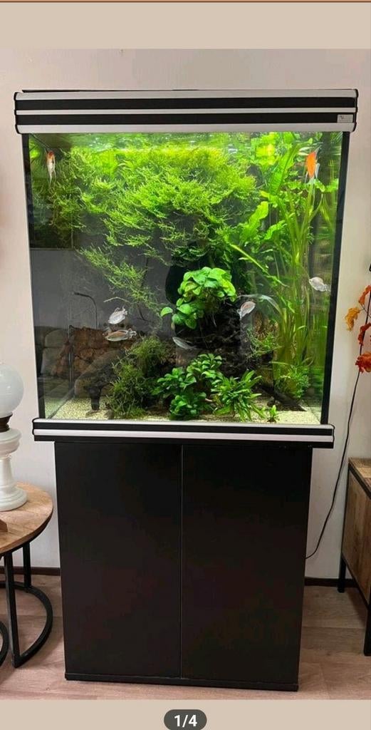 Aquarium 350 liter compleet met pomp verlichting, Dieren en Toebehoren, Vissen | Aquaria en Toebehoren, Ophalen of Verzenden, Zo goed als nieuw