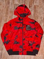 Zomerjas / maat 170 176, Coolcat, Ophalen of Verzenden, Zo goed als nieuw, Jongen