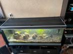 Trofis aquarium 180x48x66, Ophalen, Gebruikt, Leeg aquarium